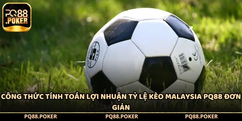 Công thức tính toán lợi nhuận tỷ lệ kèo Malaysia PQ88 đơn giản