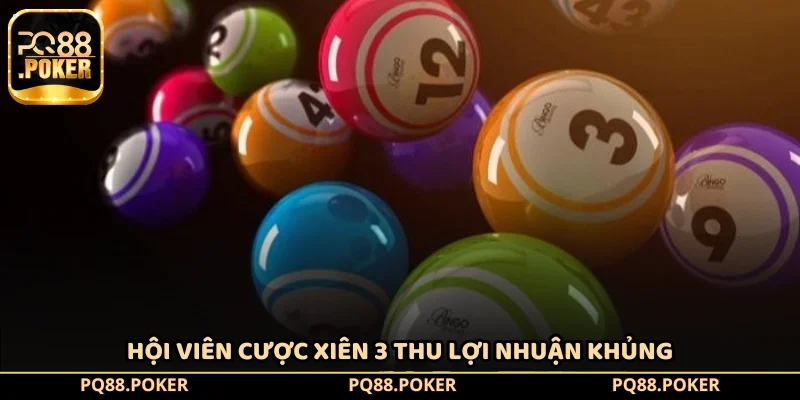 Hội viên cược xiên 3 thu lợi nhuận khủng