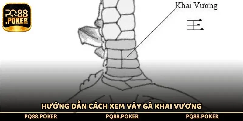 Hướng dẫn cách xem vảy gà khai vương