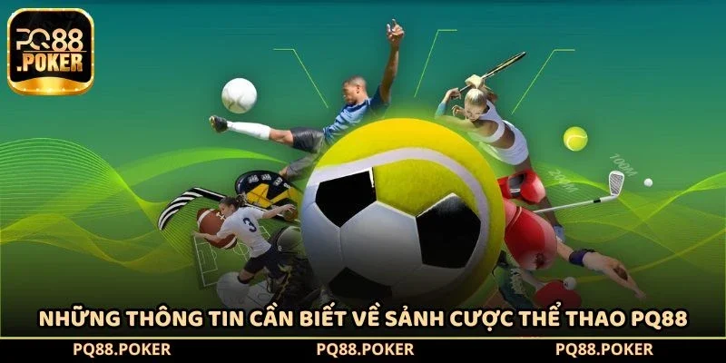 Những thông tin cần biết về sảnh cược thể thao PQ88