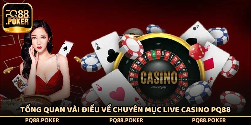 Tổng quan vài điều về chuyên mục Live Casino PQ88