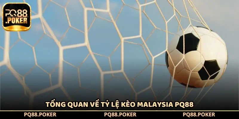 Tổng quan về  tỷ lệ kèo Malaysia PQ88