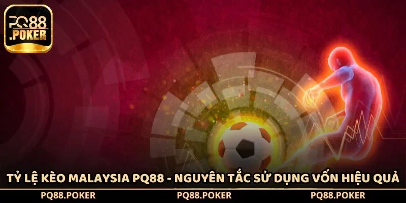 Tỷ lệ kèo Malaysia PQ88 - Nguyên tắc sử dụng vốn hiệu quả